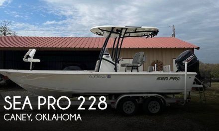 2021 Sea Pro 228