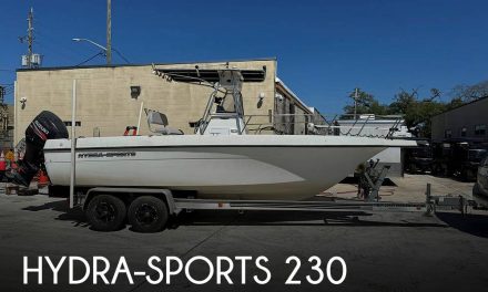2000 Hydra-Sports 230 SeaHorse