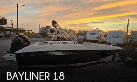 2022 Bayliner Element E 18