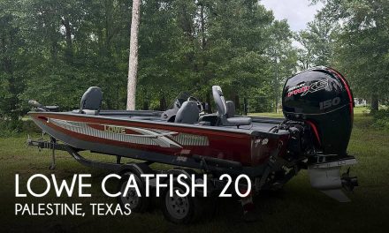 2021 Lowe Catfish 20