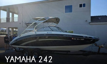 2010 Yamaha 242 limited s