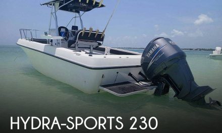 2000 Hydra-Sports 230 Seahorse