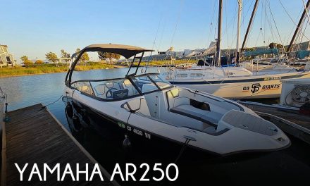 2022 Yamaha AR250