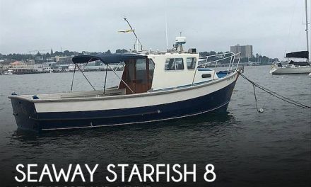 1974 Seaway Starfish 8