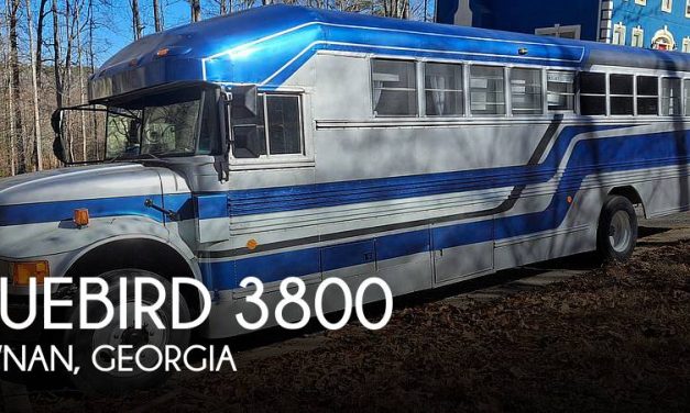 1991 Bluebird Bluebird 3800