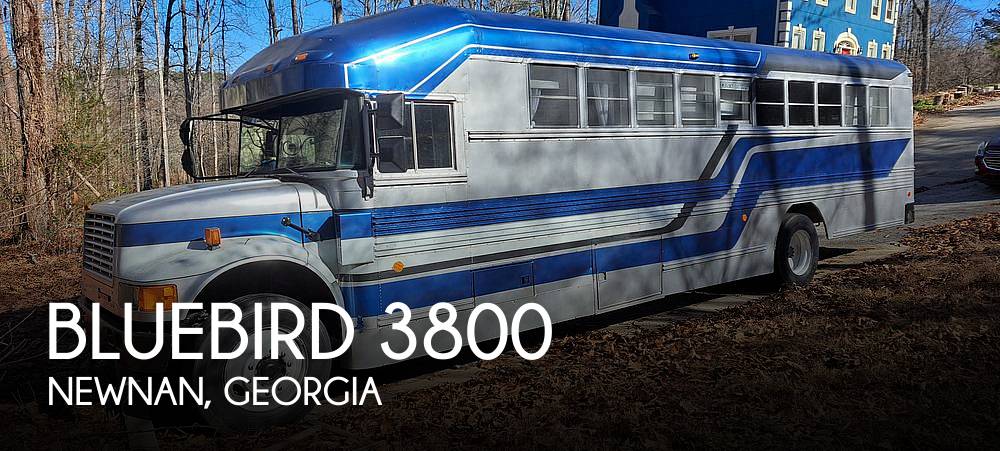 1991 Bluebird Bluebird 3800