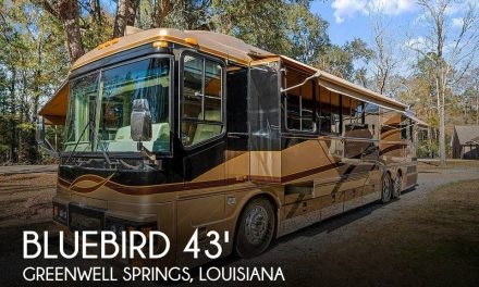 2000 Bluebird Bluebird Wanderlodge LXi