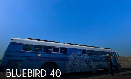 1999 Bluebird Bluebird 40