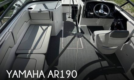 2023 Yamaha AR190