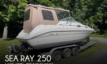 1996 Sea Ray Sundancer 250