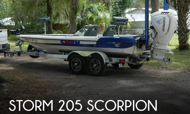 1989 Storm 205 Scorpion