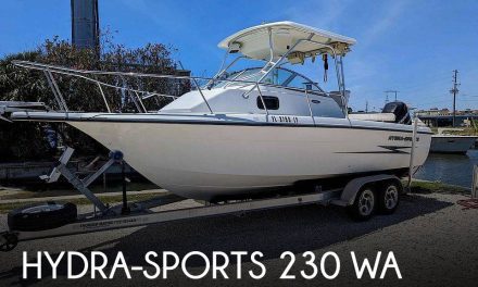 2002 Hydra-Sports 230 Wa