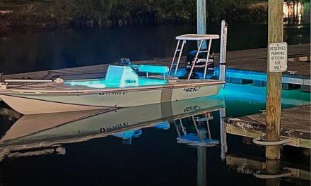 2005 Sea Fox 20FF