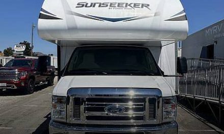 2019 Forest River Sunseeker 3010ds