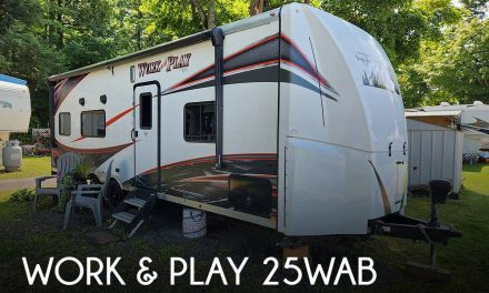 2019 Forest River Work & Play 25WAB