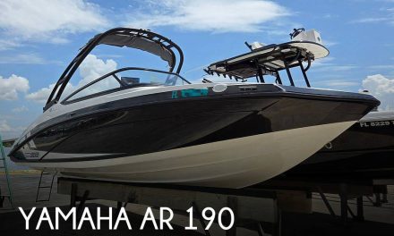 2019 Yamaha AR 190