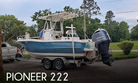 2014 Pioneer Sportfish 222