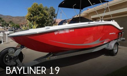 2023 Bayliner Element M19