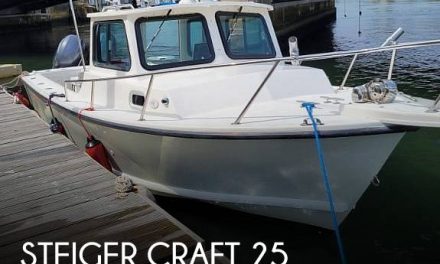 2004 Steiger Craft Chesapeake 25