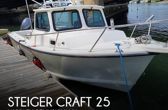 2004 Steiger Craft Chesapeake 25