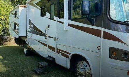 2011 Forest River Georgetown 350TS