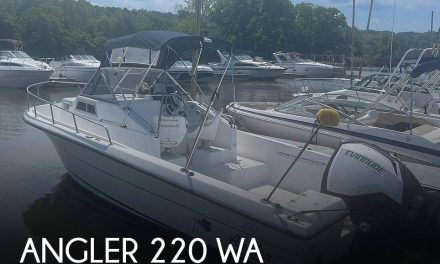 1998 Angler 220 WA