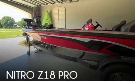 2020 Nitro z18 pro