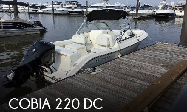 2021 Cobia 220 DC