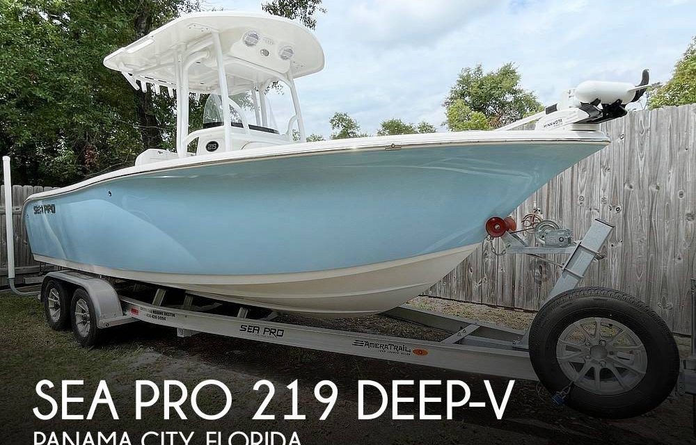 2024 Sea Pro 219 Deep-V