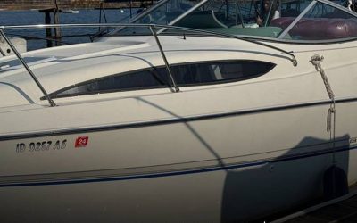 2007 Bayliner Marine 245