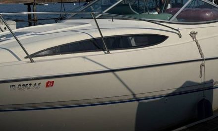 2007 Bayliner Marine 245