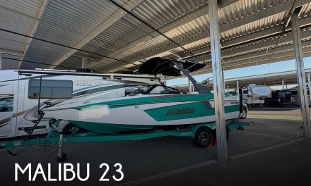 2021 Malibu Wakesetter 23 MXZ