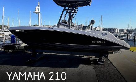 2019 Yamaha 210 FSH Sport