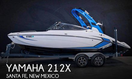 2019 Yamaha 212x