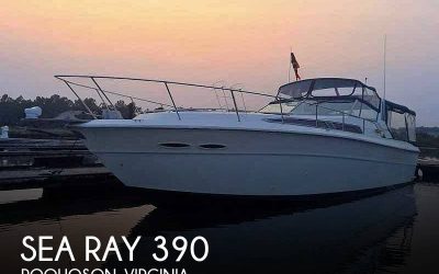 1989 Sea Ray 390