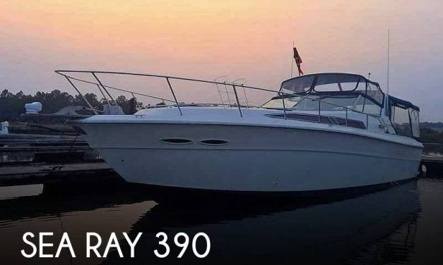 1989 Sea Ray 390