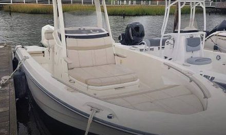 2023 Boston Whaler 220 DAUNTLESS