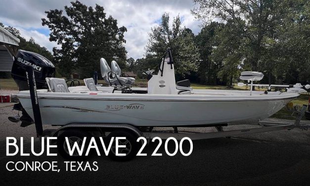 2022 Blue Wave Pure Bay 2200