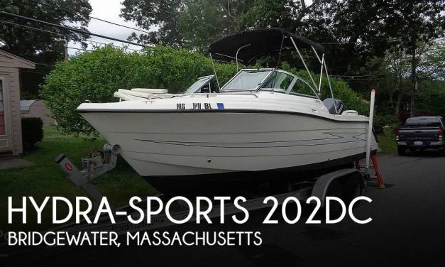 2010 Hydra-Sports 202DC