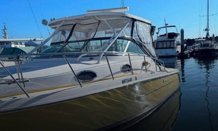 2006 Wellcraft Coastal 290