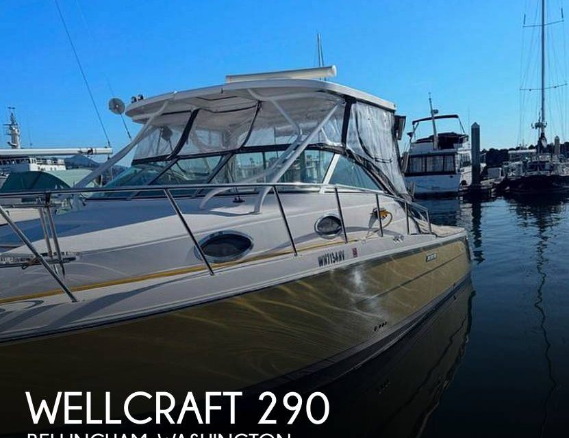 2006 Wellcraft Coastal 290