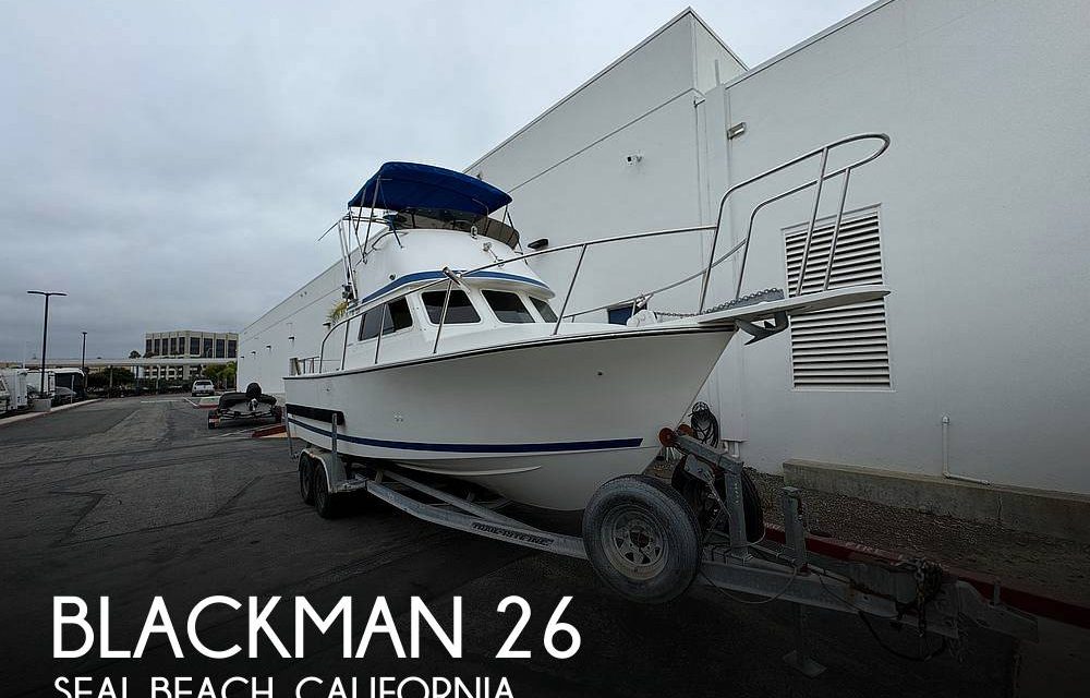 2003 Blackman 26 Billfisher