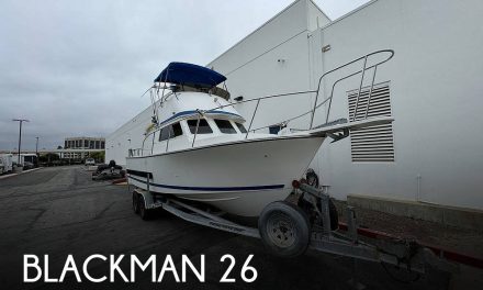 2003 Blackman 26 Billfisher