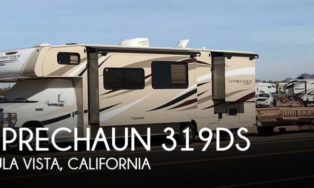 2017 Coachmen Leprechaun 319DS