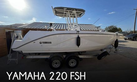 2023 Yamaha 220 FSH