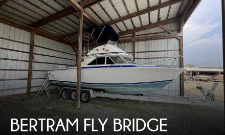 1986 Bertram Fly Bridge