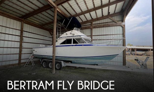 1986 Bertram Fly Bridge