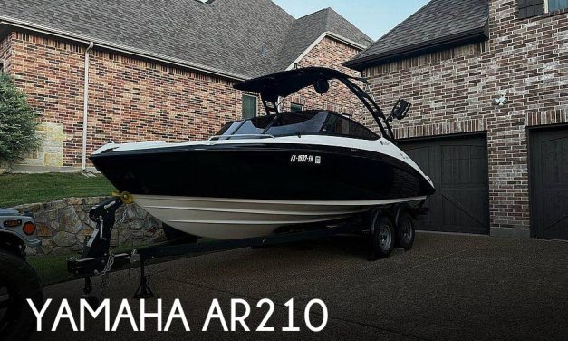 2019 Yamaha Ar210