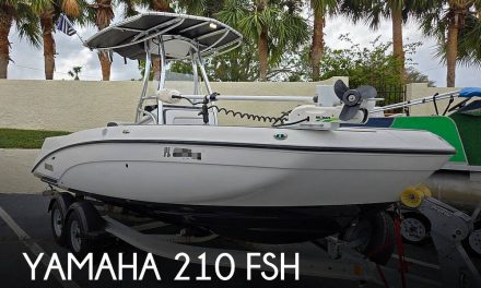 2018 Yamaha 210 FSH