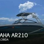 2020 Yamaha AR210